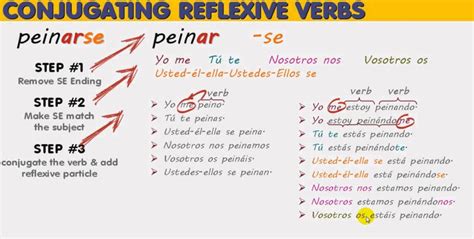 peinarse conjugation|peinarse conjugation reflexive.